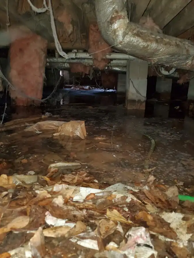 Crawl space flood assessment for Leak Detection & Repair in Millcreek